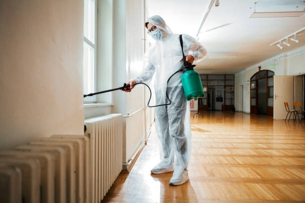 Best Affordable Pest Control Services  in Citrus Park, AZ